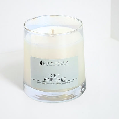 Kerze "AYVA" - Iced Pine Tree