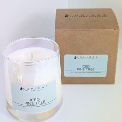 Kerze "AYVA" - Iced Pine Tree