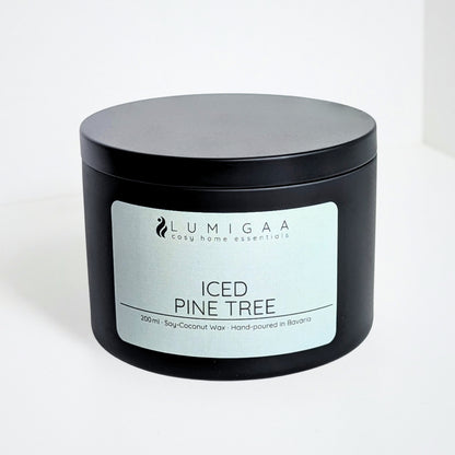 Kerze "ELOA" - Iced Pine Tree