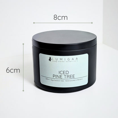 Kerze "ELOA" - Iced Pine Tree